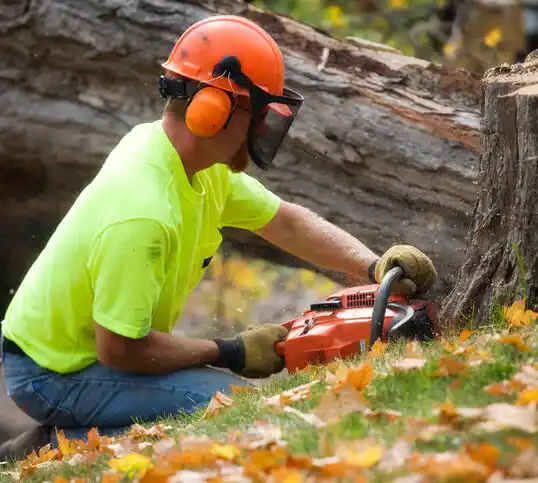 tree services Richburg